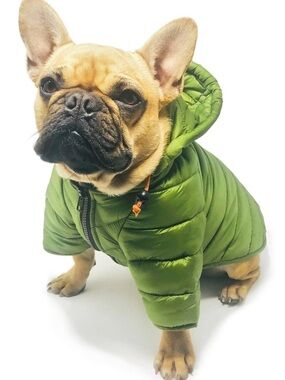 Wagwear PUFFER JACKET